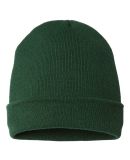 Cap America TKN24 USA-Made 12" Cuffed Beanie in Forest green