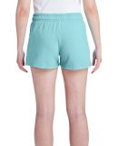 Comfort Colors T-Shirts  1537L Garment-Dyed Women' in Chalky mint