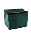 Promo Goods  LB125 6-Pack Non-Woven Cooler Bag in Hunter green