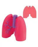 Promo Goods  SB670 Lungs Stress Reliever in Red