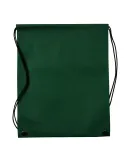 Promo Goods  BG120 Non-Woven Drawstring Cinch-Up B in Hunter green