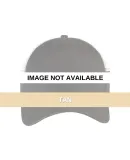 Promo Goods  AP102 Venti Half-Mesh Cap TAN