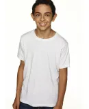 Next Level 6310 Boy's Tri-Blend Crew in Heather white