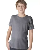 Next Level 6310 Boy's Tri-Blend Crew in Premium heather