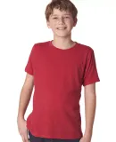 Next Level 6310 Boy's Tri-Blend Crew in Vintage red