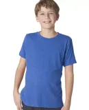 Next Level 6310 Boy's Tri-Blend Crew in Vintage royal