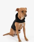 Los Angeles Apparel HF-DOGHOOD DOGSWEATER in Black front view