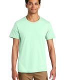 Jerzees 570MR Premium Cotton T-Shirt in Mint to be