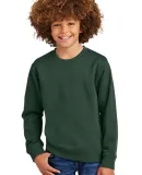 District Clothing DT6104Y District<sup></sup> Yout in Forestgrn
