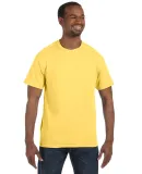 5250 Hanes Authentic T-shirt Daffodil Yellow