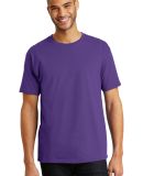 5250 Hanes Authentic T-shirt in Purple