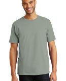 5250 Hanes Authentic T-shirt in Stonewashed green