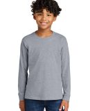 Next Level Apparel 3311 Youth Cotton Long Sleeve T in Heather grey