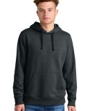 The North Face NF0A8AU0    Sleeve Logo Pullover Ho in Tnfblkhthr