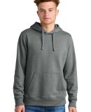 The North Face NF0A8AU0    Sleeve Logo Pullover Ho in Tnfmdgyht