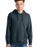 The North Face NF0A8AU0    Sleeve Logo Pullover Ho in Urbnvyht