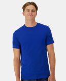 Hanes 4873 Cool DRI® Cotton Touch T-Shirt in Athletic royal