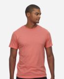 Threadfast Apparel T1001 Epic Unisex CVC T-Shirt in Heather sunset