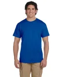 Fruit of the loom 3930R 3931 Adult Heavy Cotton HD in Royal