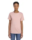 Fruit of the loom 3930R 3931 Adult Heavy Cotton HD in Blush pink