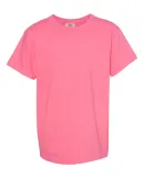 9018 Comfort Colors - Pigment-Dyed Ringspun Youth  Crunchberry