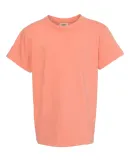 9018 Comfort Colors - Pigment-Dyed Ringspun Youth  Terracotta