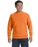 Comfort Colors 1566 Pigment-Dyed Crewneck Sweatshi Burnt Orange