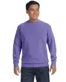 Comfort Colors 1566 Pigment-Dyed Crewneck Sweatshi Violet