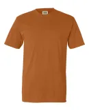 4017 Comfort Colors - Combed Ringspun Cotton T-Shi Yam