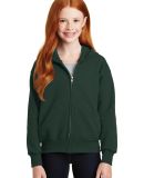 Hanes P480 Youth EcoSmart® Full-Zip Hooded Sweats in Deep forest