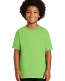 Gildan 2000B Ultra Cotton Youth T-shirt in Lime