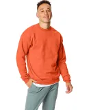 Hanes P160 ecosmart crewneck sweatshirt Orange