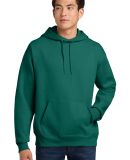 F170 Hanes Ultimate Cotton Hooded Sweatshirt in Cactus