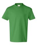 Hanes 5450 Authentic Tagless Youth T-shirt in Shamrock green