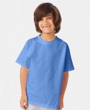 Hanes 5450 Authentic Tagless Youth T-shirt in Carolina blue