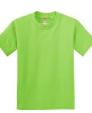 Hanes 5450 Authentic Tagless Youth T-shirt in Lime