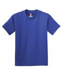 Hanes 5450 Authentic Tagless Youth T-shirt in Deep royal