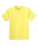 Hanes 5450 Authentic Tagless Youth T-shirt in Yellow