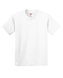 Hanes 5450 Authentic Tagless Youth T-shirt in White