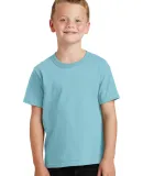 Port & Company Youth Essential Pigment Dyed Tee PC Mist