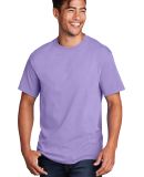 Port & Company PC54 Wholesale 5.4 oz Plain Cotton  in Lavender