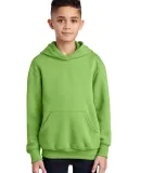 Port  Company Youth Pullover Hooded Sweatshirt PC9 Lime