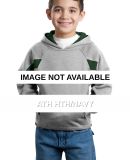 Sport Tek Youth Color Spliced Pullover Hooded Swea Ath Hth/Navy