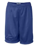 2237 Badger Youth Mini-Mesh Shorts Royal