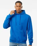 0320 Tultex Unisex Pullover Hoodie in Royal