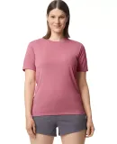 Gildan 42000 G420 Adult Core Performance T-Shirt  in Plumrose