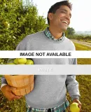 82300 Fruit of the Loom Adult SupercottonSweatshir White