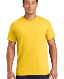 Gildan 8000 Wholesale Adult DryBlend Plain T-Shirt in Daisy