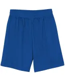 N5184 A4 7 Inch Adult Lined Micromesh Shorts ROYAL