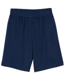 N5255 A4 9 Inch Adult Lined Micromesh Shorts NAVY